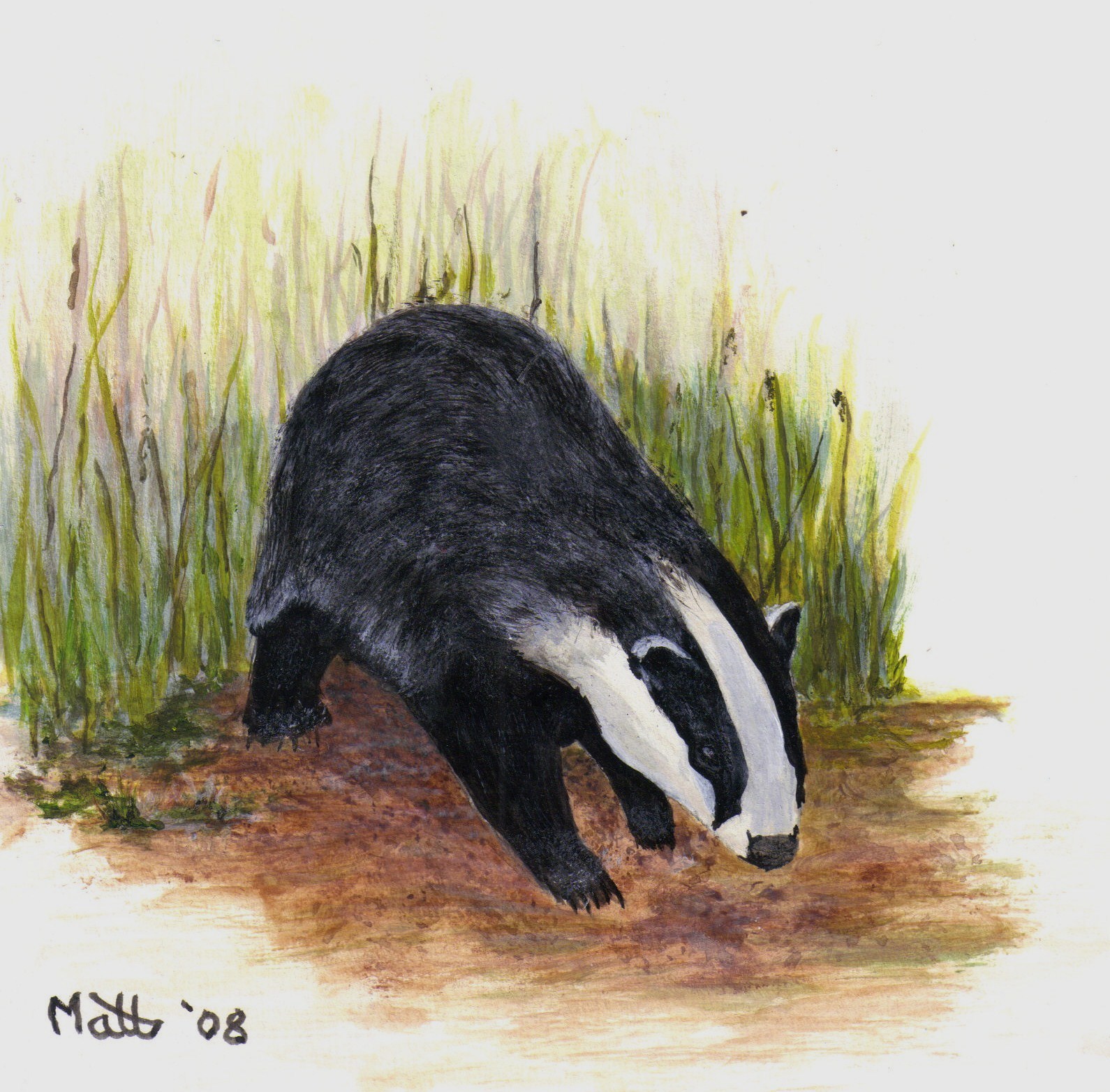 Badger acrylic painting