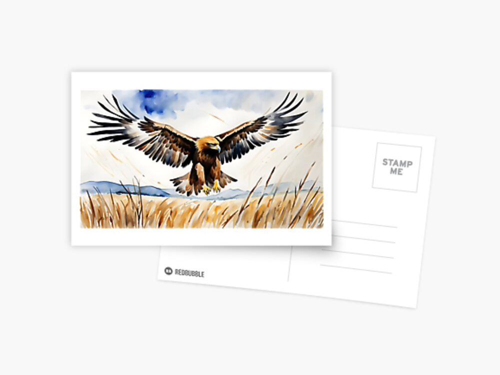 Golden Eagle (Aquila chrysaetos), Scotland, Postcard Print