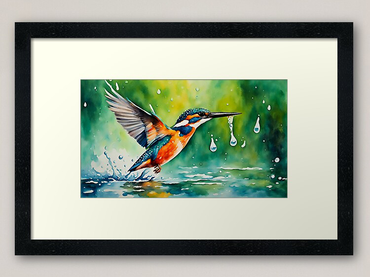 Kingfisher (Alcedo atthis) Framed art print