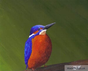 Acrylic Paintings - Kingfisher